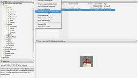 PXG TUT #4 USING ALIENBRAIN PART 2