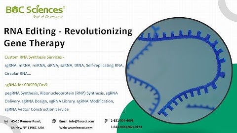 What is RNA Editing? - RNA Editing: Revolutionizing Gene Therapy Research -  BOC Sciences