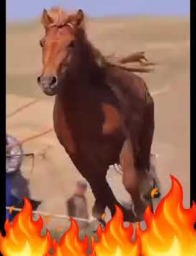 Bhasobhu mlilo🔥🔥New KING_EMJAY-SA 2022