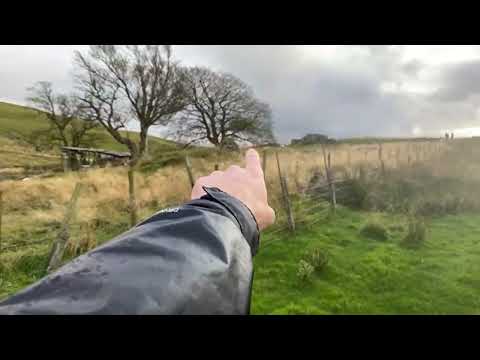 Hillforts, Saving a sheep and graveyard visit Scottish Borders Livestream