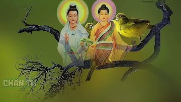 CHÂN TU - VĂN HÓA CỘI NGUỒN - LONG HOA THI TẬP CA NHẠC - CAO ĐỨC THẮNG