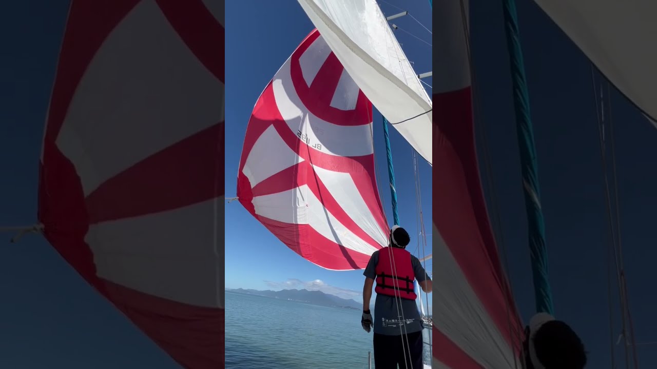 ⁣REGATA GUILHERME STARK BERNARD #FOCONOALS #reels