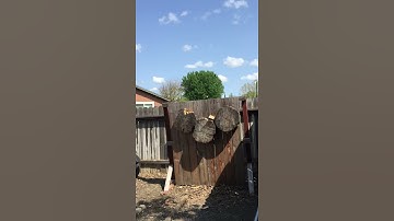 Tomahawks and Throwing Knives