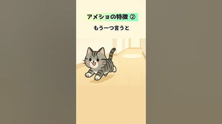 Video 11717111: american shorthair, perfect cat