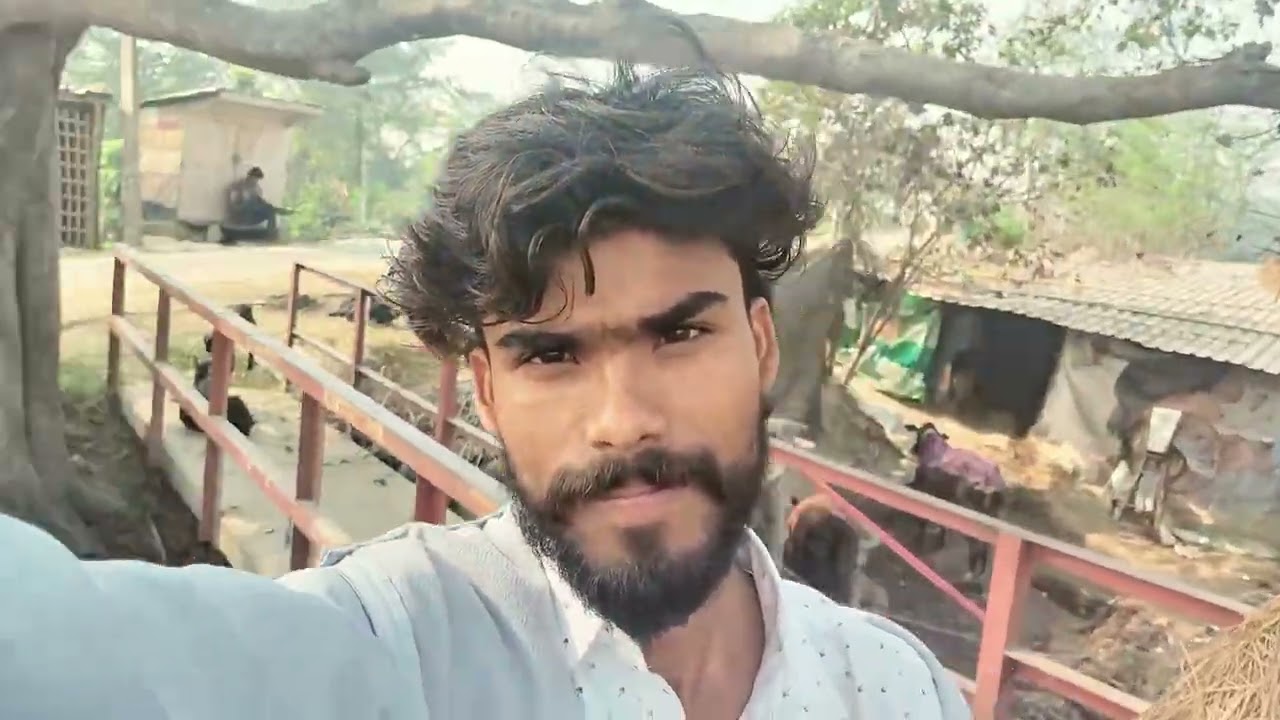 New video post #india blogger vikash 👍🌲🌅