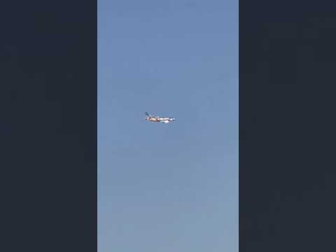 Emirates Airlines Celebrating