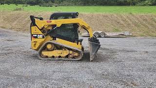 Cat259D
