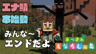 【エナ鯖マイクラ】柴エナのエンドポータルの先へ