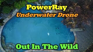 Powervision PowerRay - Out In The Wild - Review and Underwater Footage
