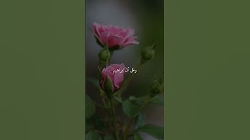 صلي الله عليه وسلم🤍 #تلاوة_خاشعة #ماهرالمعيقلي #رح_سمعك#القران_الكريم