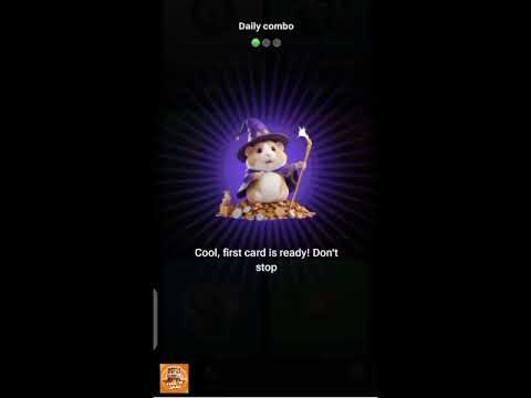 hamster kombat today