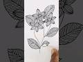 Beautiful Flowers Drawing 😘🌸💮🏵️