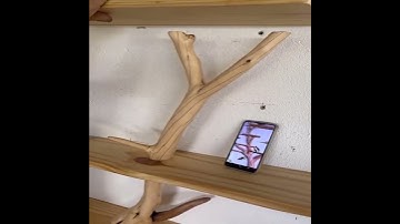 Assembly instruction video tree branch shelf art wall mount #shorts