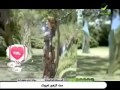 كليب تصدق بمين اليسا 2011 