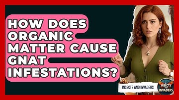 How Does Organic Matter Cause Gnat Infestations? - Insects and Invaders