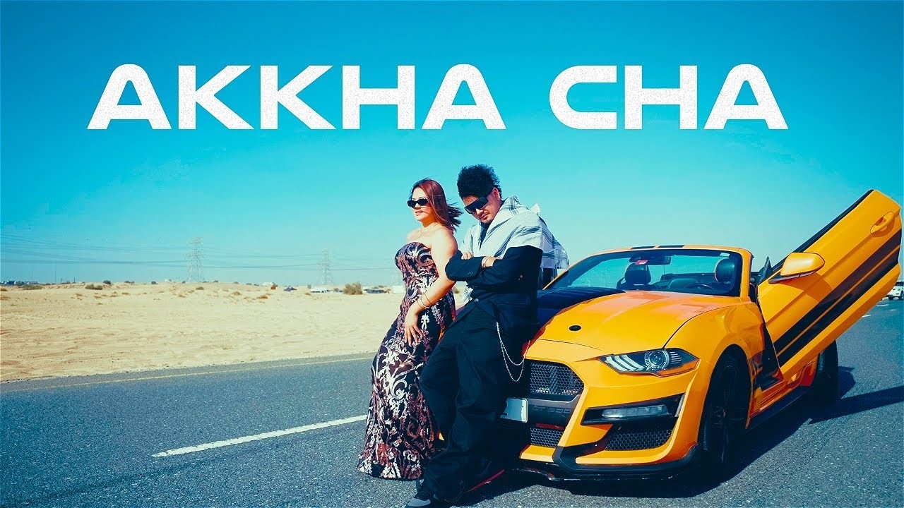 Mr. D - Akkha Cha  ( NZ Remix)