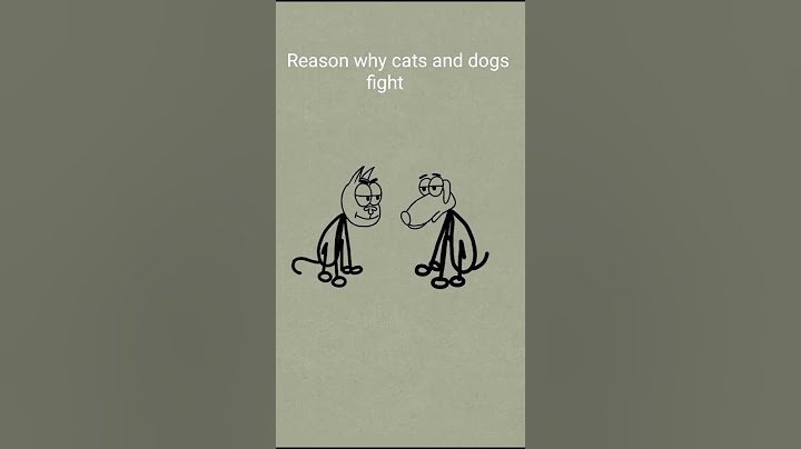 Why cats and dogs fight 😁😁