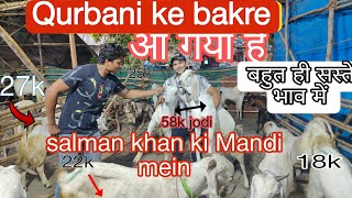 Jogeshwari bakra Mandi |cheapest rate mein कुरबानी के बकरे खरीदने है तो आजाओ  एकदम सस्ते में