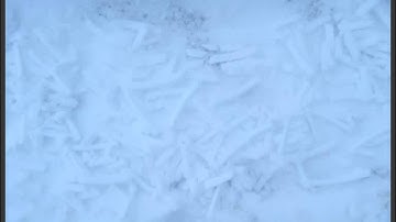 NEF to jpg Convert nikon RAW to JPG file - NIKON VIEW NX 2