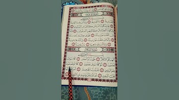 سورة التَّكاثر القارئ egzonibrahimi #قرآن