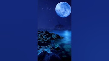 قرآن كريم🌷تلاوة بصوت جميل جدا🌷(وربك يَخْلُقُ مَا يَشَاءُ وَيَخْتَارُ)🌻مقاطع دينية 🌹1257‪