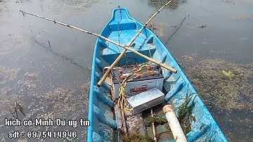 rà thả cáp cá lóc trên ruộng, thả cáp sông chạch. lăng .tra cá trắng, một vợt, kéo lưới cá chạch