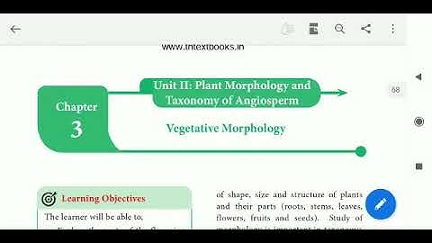 11th Bio Botany Chapter-3 Vegetative morphology (introduction) sir