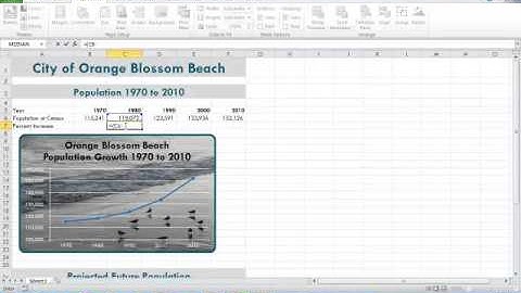 Excel Chapter 3 Percent of Increase