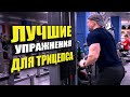 Лучшие упражнения для трицепса