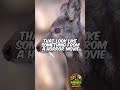 This “Cute” Deer Has Vampire Fangs 😳🦌  #animalfacts #youtubeshorts