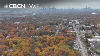 City council weighs controversial building proposal near Glen Stewart Ravine