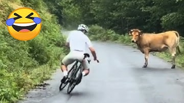 Best Funny Videos Of 2025 😂 TRY NOT TO LAUGH Funny Videos #1