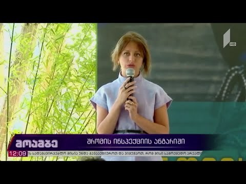 შრომის ინსპექციის ანგარიში