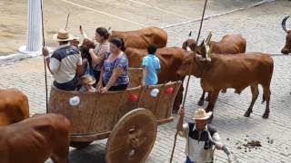 Procissão de São Sebastião 2017 Recreio MG