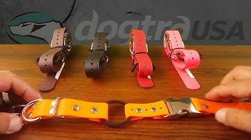 Quick Snap E-Collar Strap  - Review | DogtraUSA.com