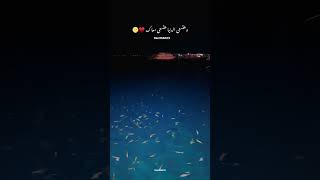 سيبها علي الله - حسين الجسمي جديد