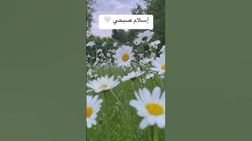 تلاوة رائعة من القارئ #إسلام_صبحي 🤍💙