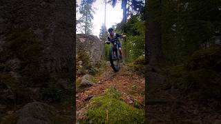 Hometrails  #short #shorts #youtubeshorts #mtb #shortvideo #backyard #trails #mountainbiking