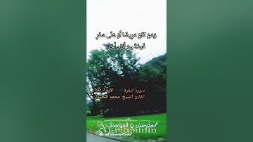 سورة البقرة الآية (١٨٥) بصوت القارئ #محمد_اللحيدان @almuminin_walmuminat