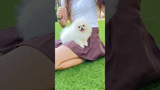 Bubbles living her best life ๐
Bubbles living her best life ๐ Bubbles living her best life ๐