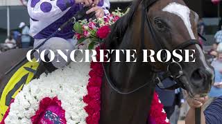 Keeneland November: Concrete Rose