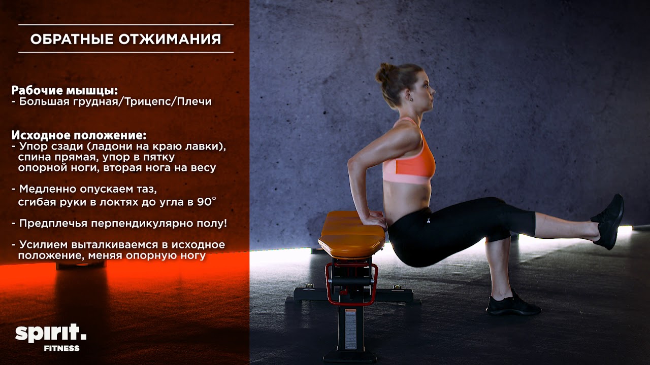 Обратные отжимания camera iphone 8 plus apk