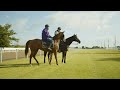 Campanelle becomes the first horse to gallop on chelmsford city racecourses turf track