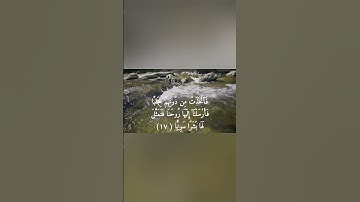 #آية_اليوم – واذكر فِى ٱلْكِتَـٰبِ مَرْيَمَ  _ سورة مريم