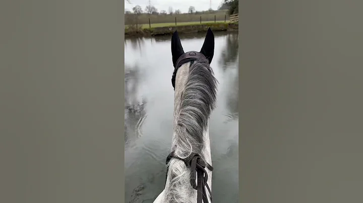 A peaceful hack to our local river, listening to t...