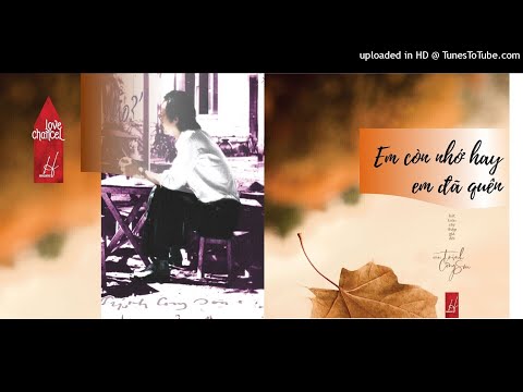 Video EM CÒN NHỚ HAY EM ĐÃ QUÊN - Trịnh Công Sơn - Thái Hòa - youtube