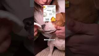 читай описание