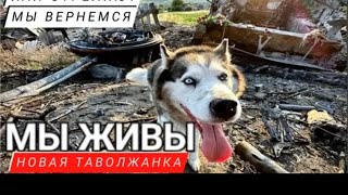 @David.EMChannel добрые дела, добрые поступки, помогли многим животным!!!