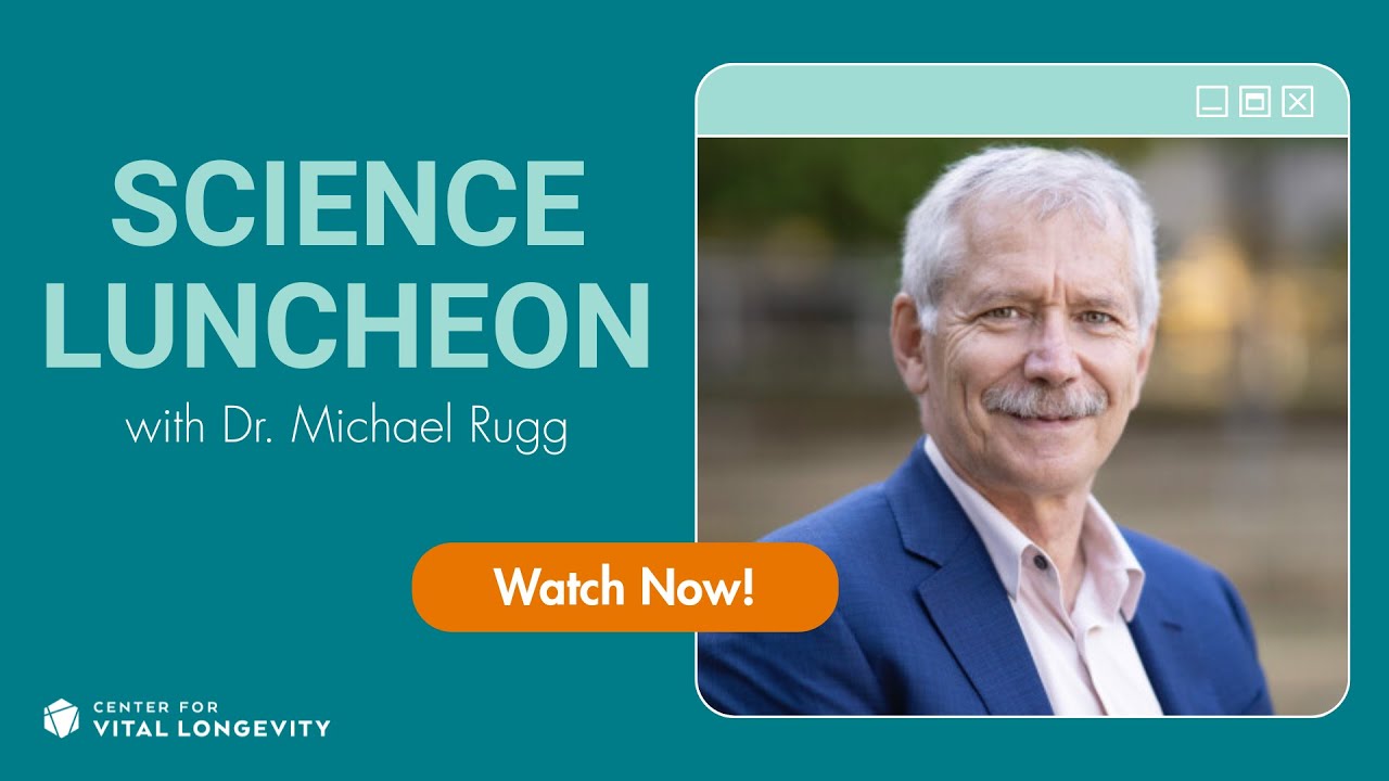 Memory Representations: A perspective from Cognitive Neuroscience