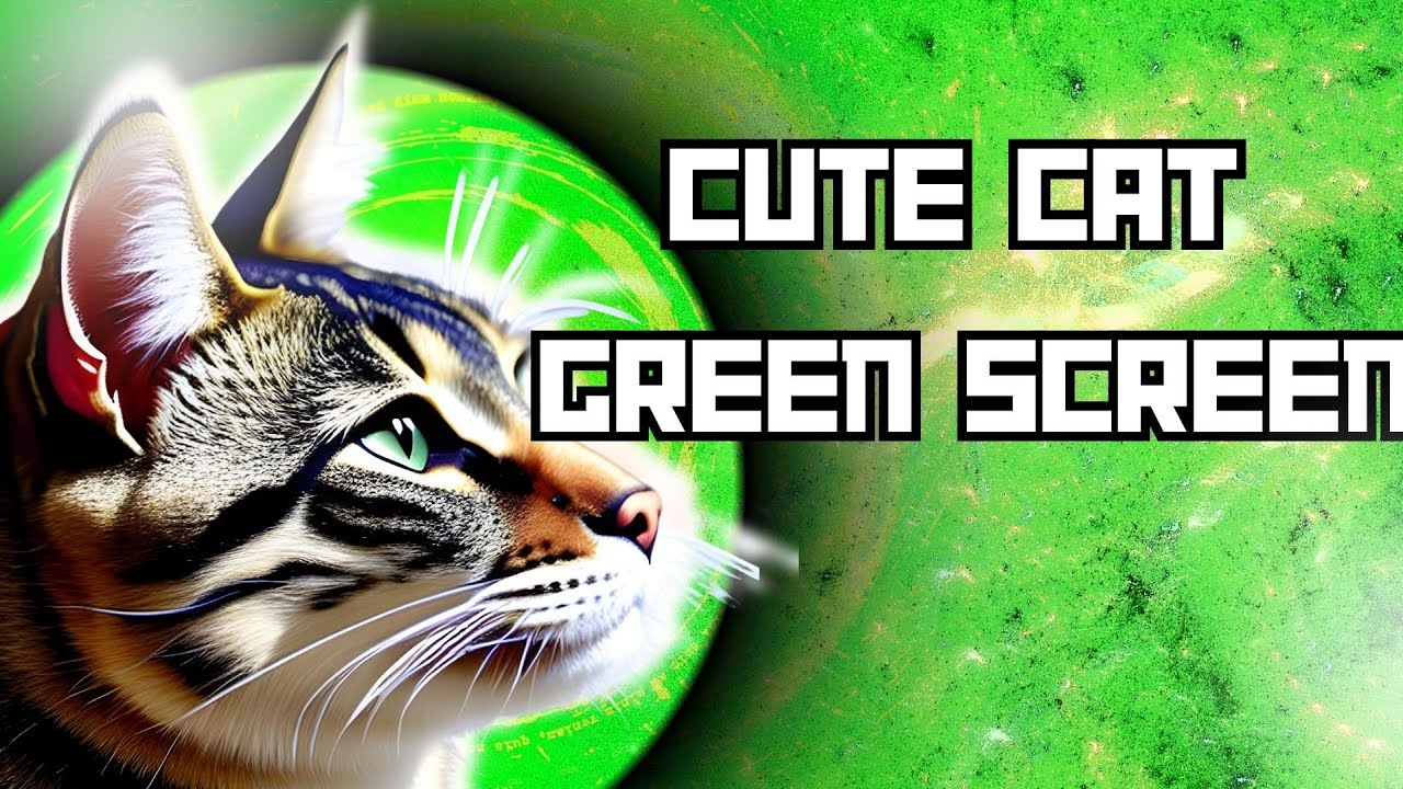 CUTE CAT GREEN SCREEN ! 